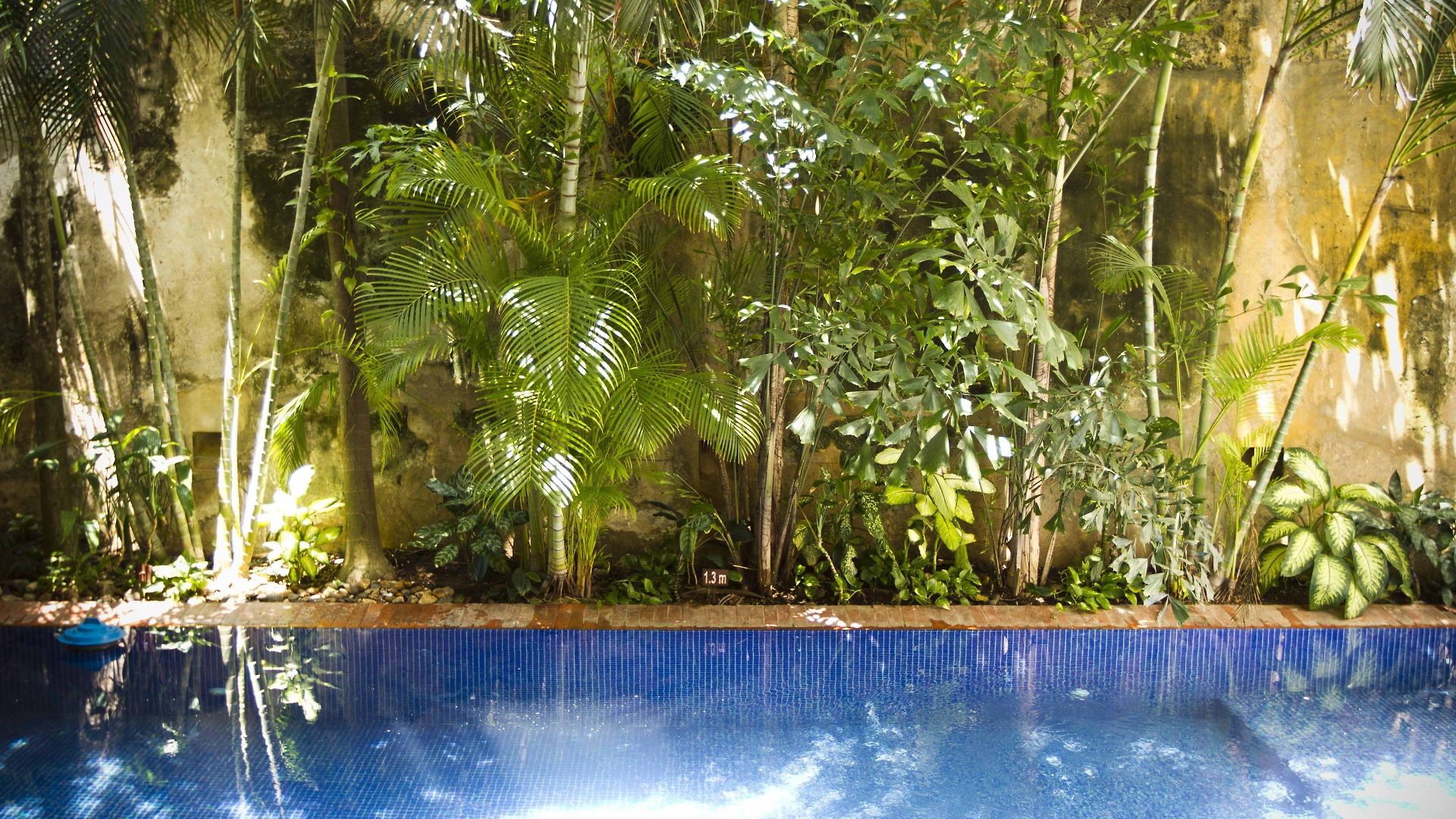 Quadrifolio 5* Cartagena
